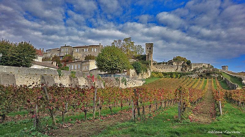 Fasthotel - Saint Emilion Est مونْكاري المظهر الخارجي الصورة